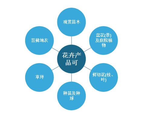 2022年中國花卉種植行業(yè)分析報(bào)告 行業(yè)發(fā)展格局與投資潛力評(píng)估